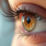 Gruczoły Meiboma: Klucz do Zdrowych Oczu i Komfortu Wzroku
