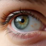 Mięsień Okrężny Oka – Budowa, Funkcje i Znaczenie Estetyczne