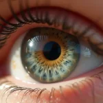 Worek spojówkowy oka – Budowa, Funkcje i Pielęgnacja